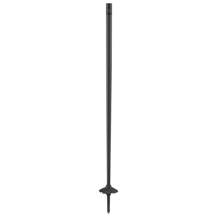 Bâtons Salomon Polar Access Black