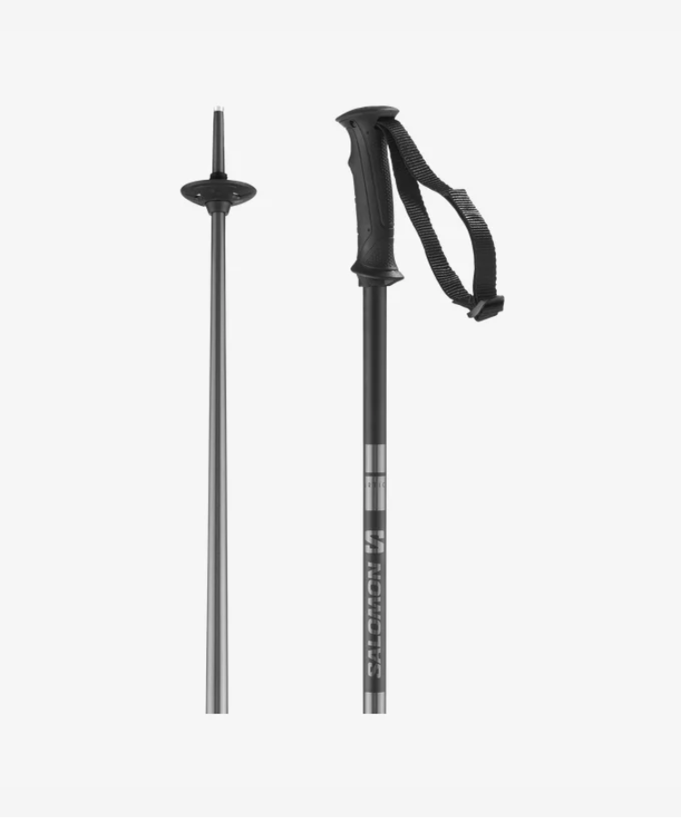 Bâtons Salomon Artic