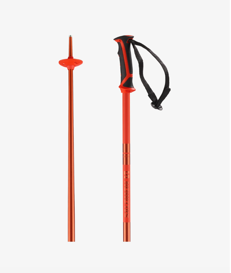 Bâtons Salomon Artic