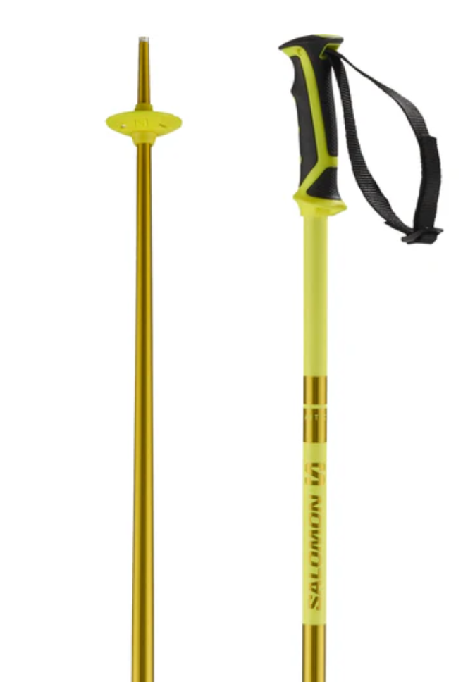 Bâtons Salomon Artic