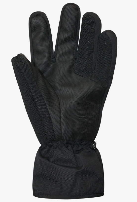 Gants Auclair Femme Horizon