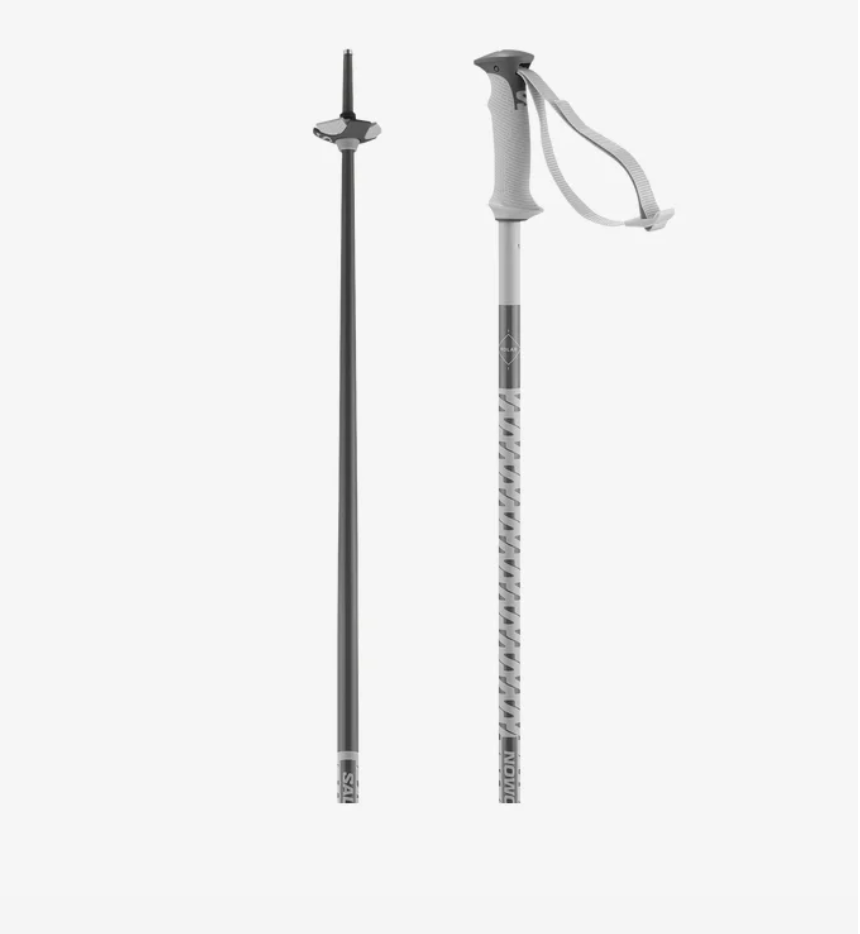 Bâtons Salomon Polar Grey Violet