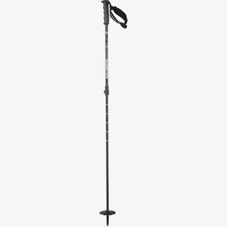 Bâtons Salomon Steep Vario S3 (Retractable)