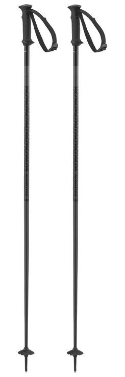 Bâtons Salomon Polar Access Black